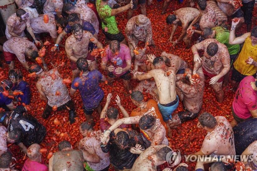 스페인 토마토 축제 파티 La Tomatina 역사, 유래부터 의미, 시기, 장소, 사망이슈까지 총정리